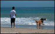 DBN10_beach Kona02