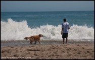 DBN10_beach Kona05