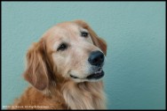 OS10_Kona portrait
